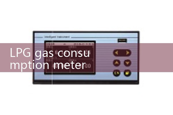 lpg gas consumption meter